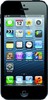 Apple iPhone 5 32GB - Ставрополь